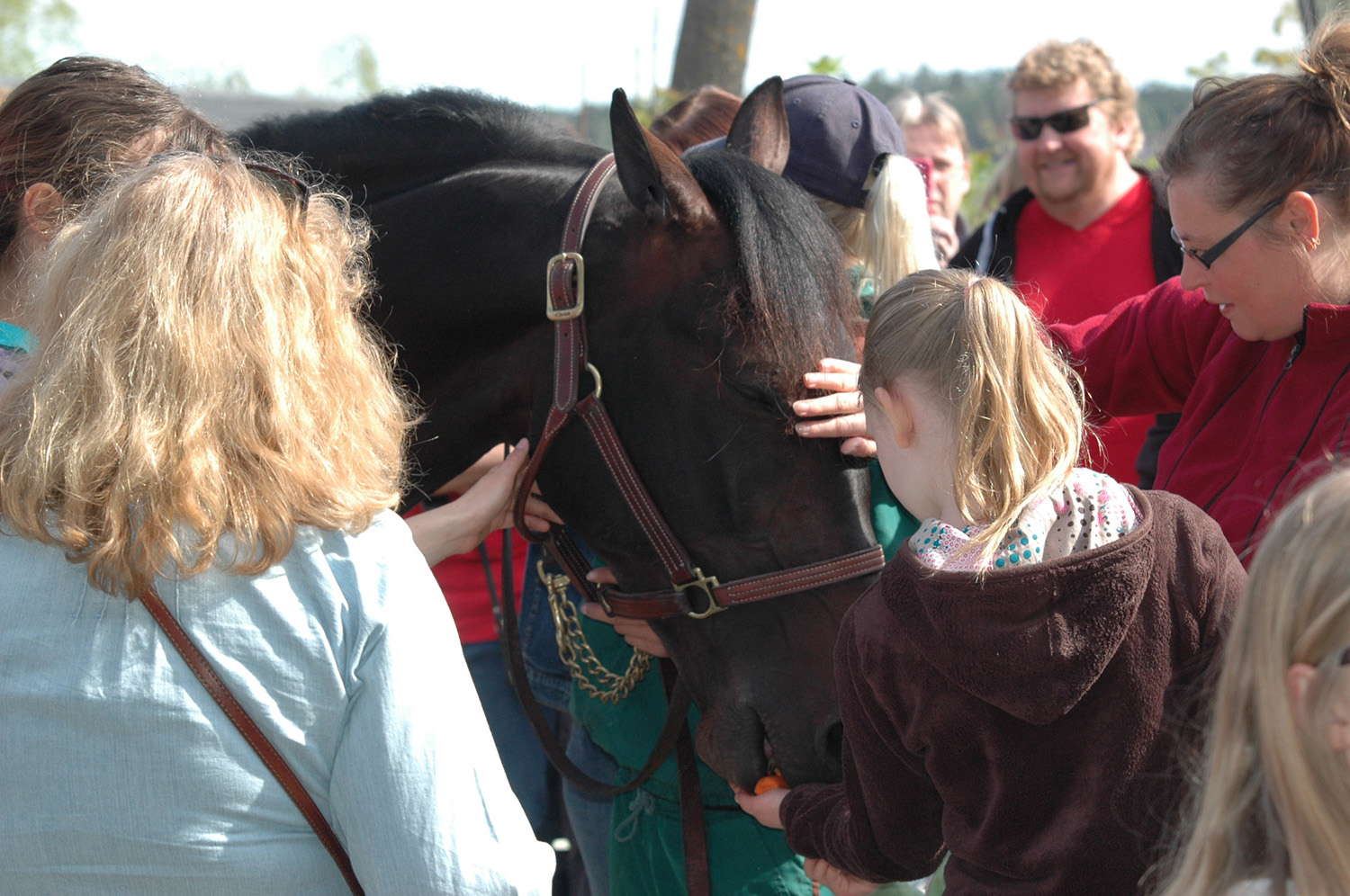 Tk-dag 2012-3